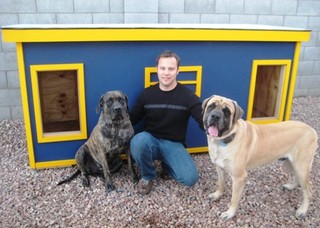 Suki, Trevor & Brutus - Arizona